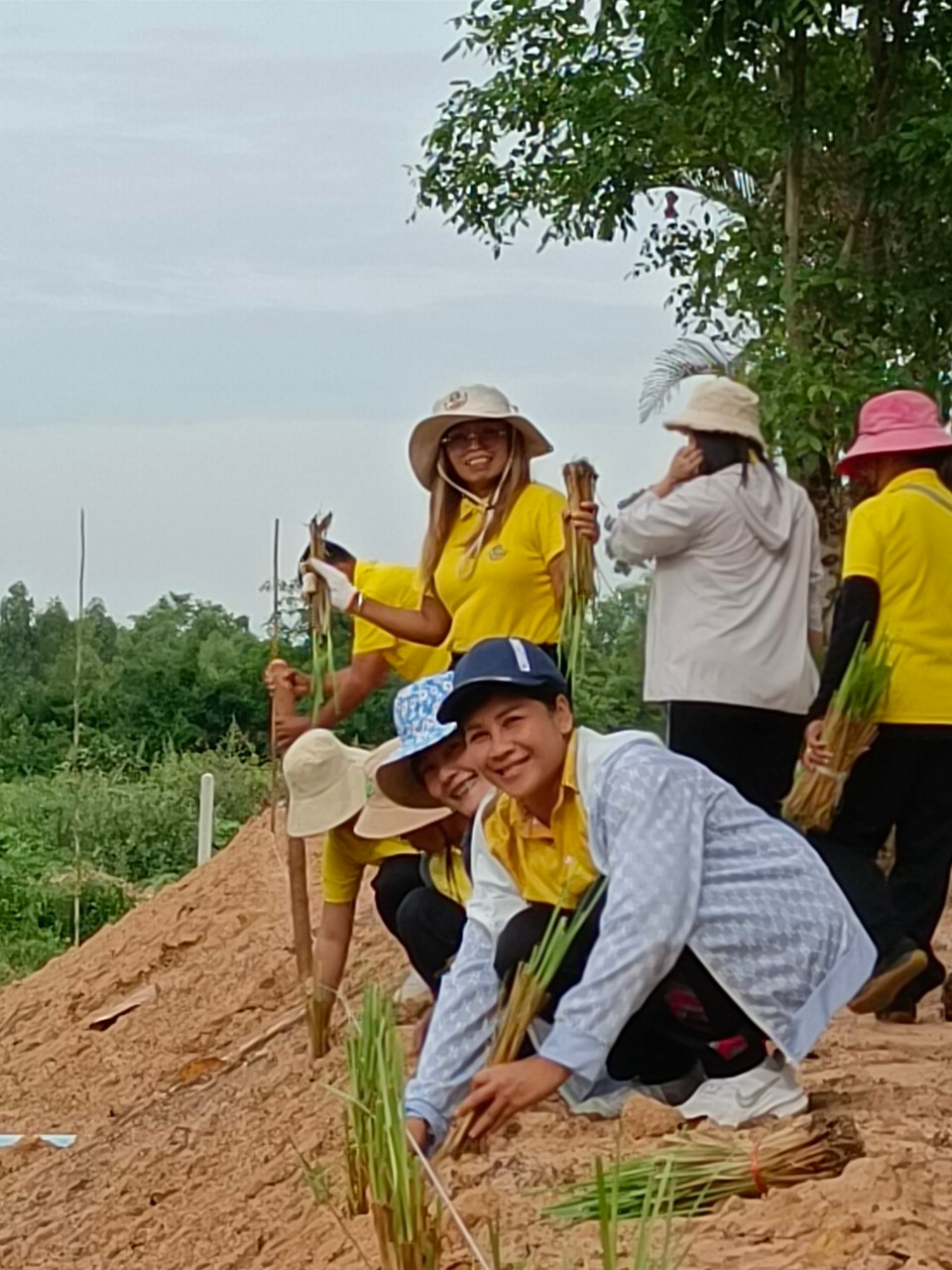 โครงการปลูกหญ้าแฝกตามแนวพระราชดำริ ประจำปีงบประมาณ 2567