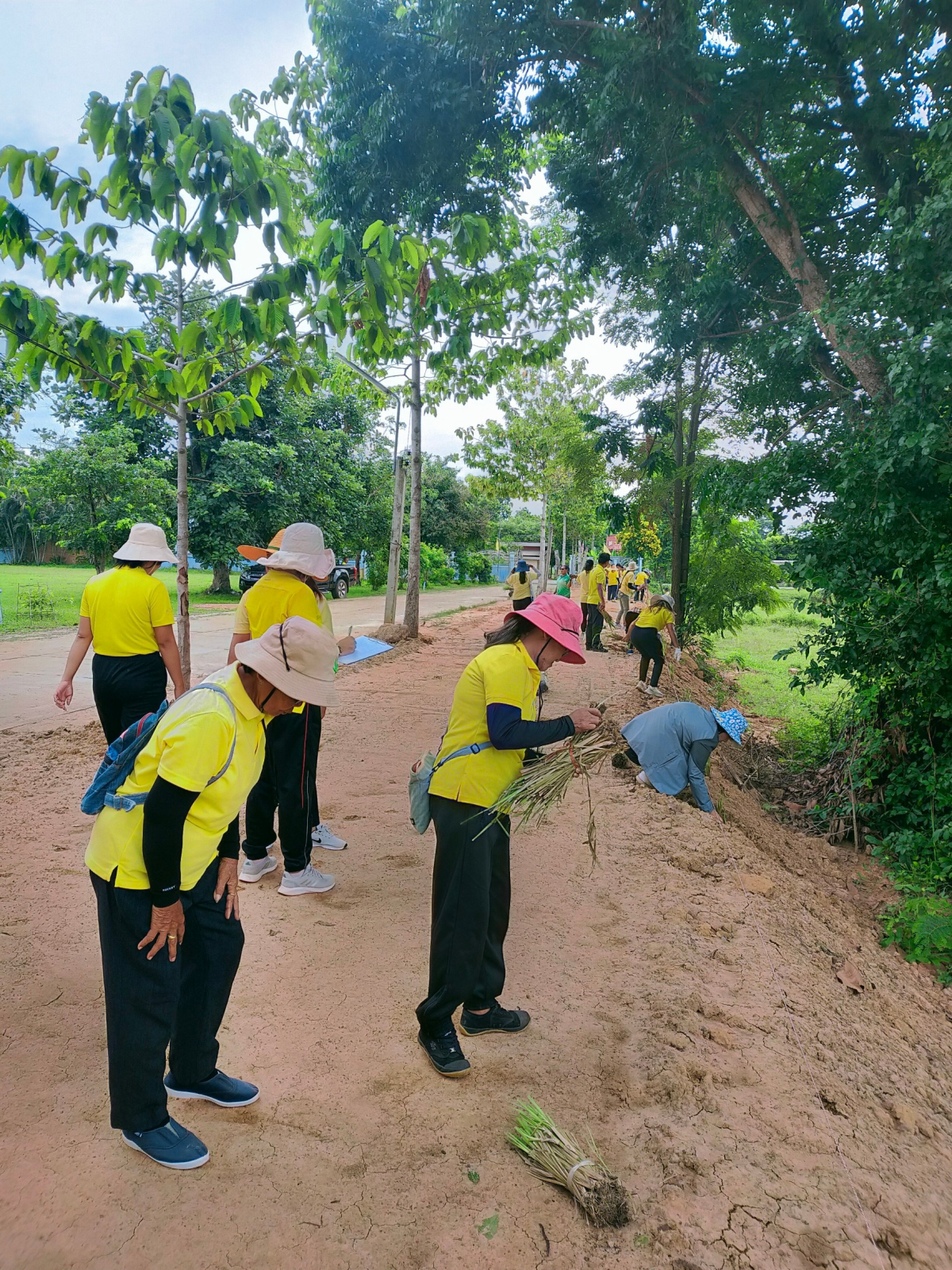 โครงการปลูกหญ้าแฝกตามแนวพระราชดำริ ประจำปีงบประมาณ 2567