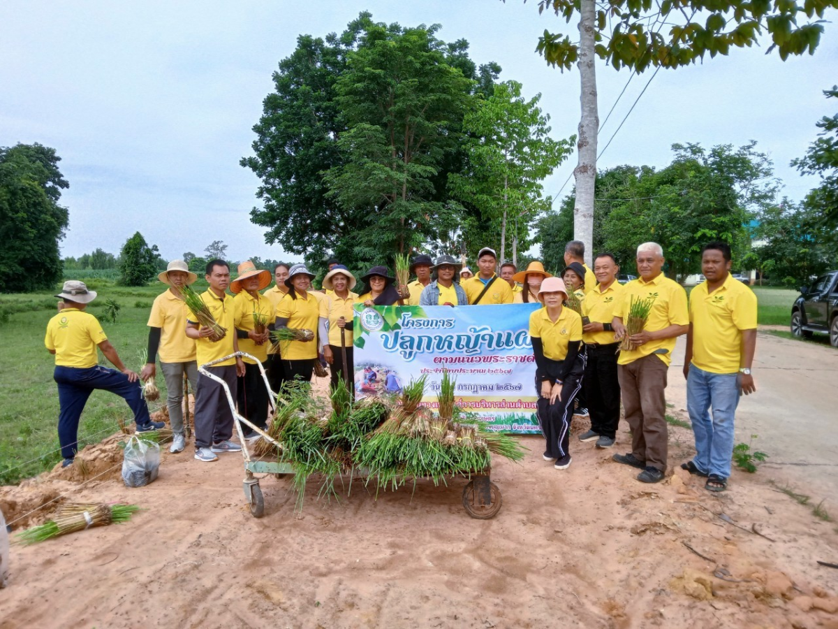 โครงการปลูกหญ้าแฝกตามแนวพระราชดำริ ประจำปีงบประมาณ 2567