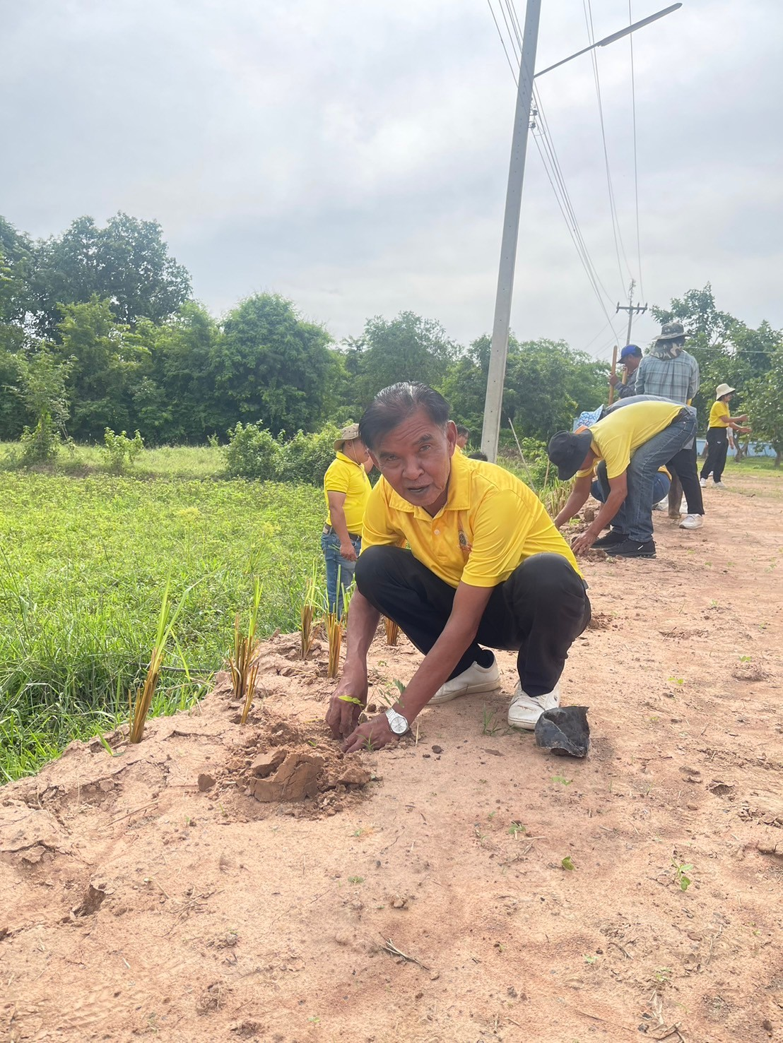 โครงการปลูกหญ้าแฝกตามแนวพระราชดำริ ประจำปีงบประมาณ 2567