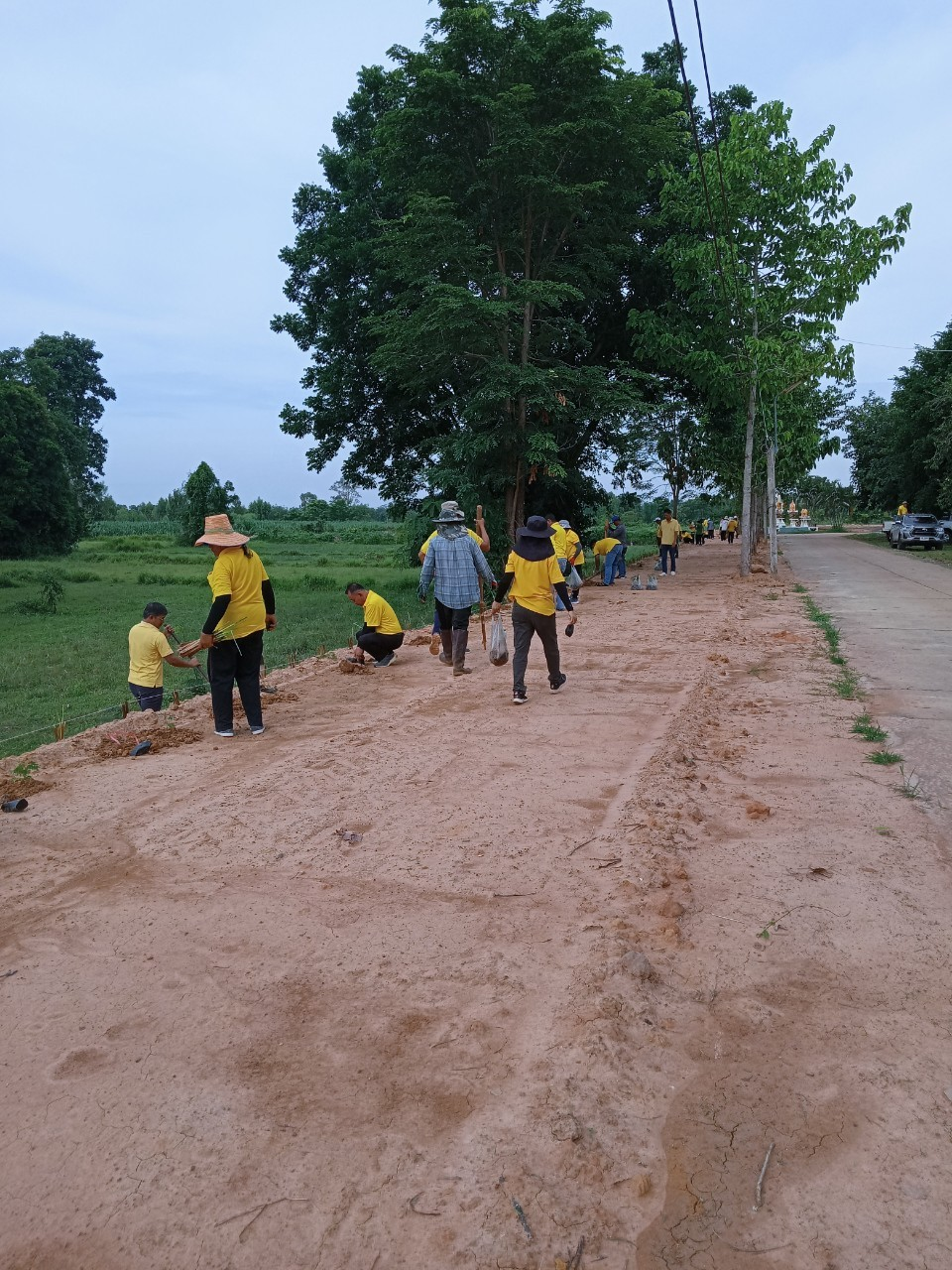 โครงการปลูกหญ้าแฝกตามแนวพระราชดำริ ประจำปีงบประมาณ 2567